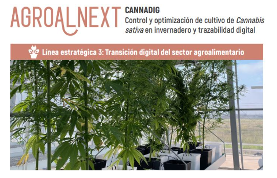CANNADIG: trazabilidad digital en el cultivo de cannabis