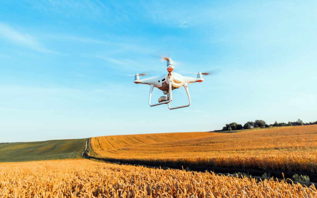 La UMH cierra ciclo con drones: agricultura de precisión hoy en Orihuela